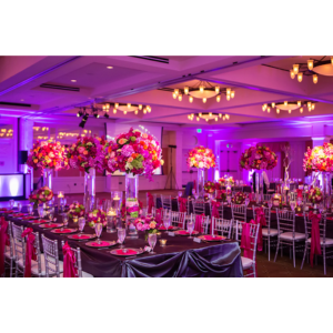 Hotel Bookings & Packages